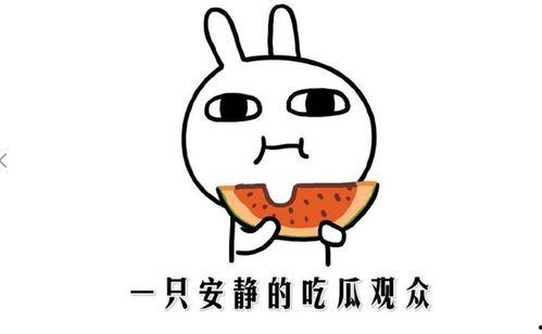 网络词吃瓜是什么意思啊,吃瓜背后的文化内涵